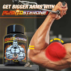 PLANTOSTERONE - Muscle Building & Testo-Boosting Ayurvedic Supplement | Helps Gain Muscle Size & Strength, with Increase in Sexual Drive | 100% Natural