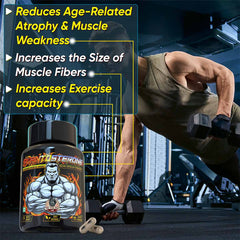 PLANTOSTERONE - Muscle Building & Testo-Boosting Ayurvedic Supplement | Helps Gain Muscle Size & Strength, with Increase in Sexual Drive | 100% Natural