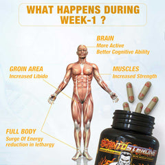 PLANTOSTERONE - Muscle Building & Testo-Boosting Ayurvedic Supplement | Helps Gain Muscle Size & Strength, with Increase in Sexual Drive | 100% Natural